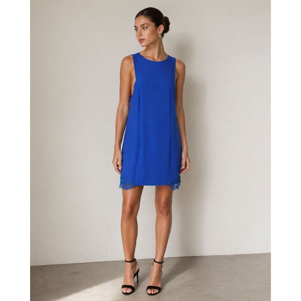 The Impeccable Pig Mini Dress in Cobalt Blue L